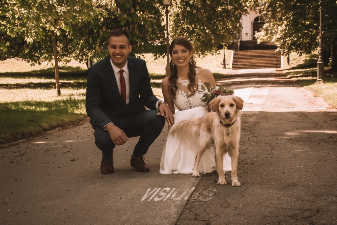 poročni fotograf cekinov grad tivoli poročno fotografiranje
